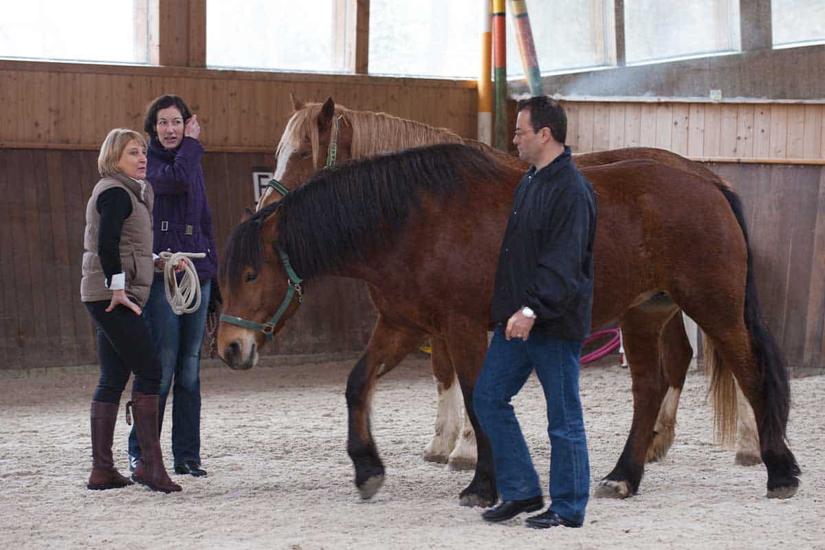 4 jours dont 3 en intermittence avec le cheval