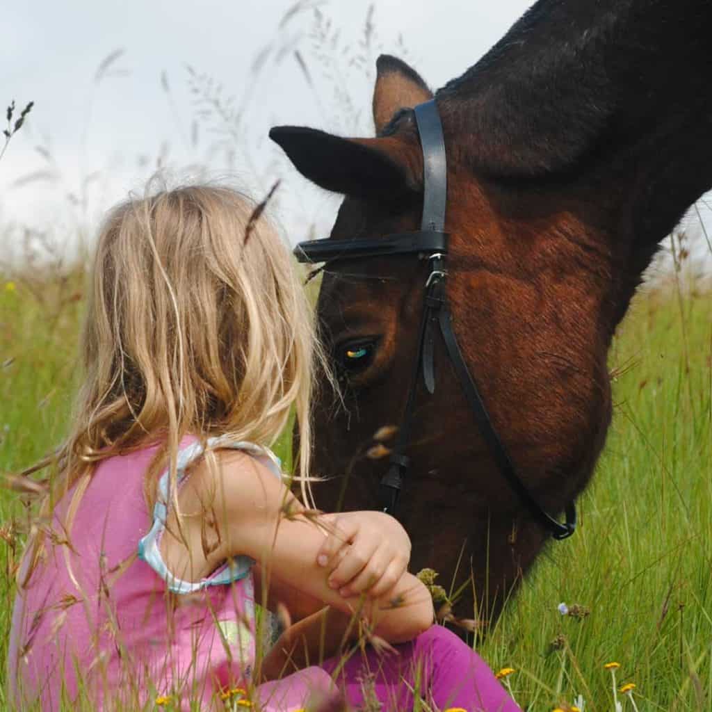 offre équicoaching pour les enfants ado cheval quirao equicoaching