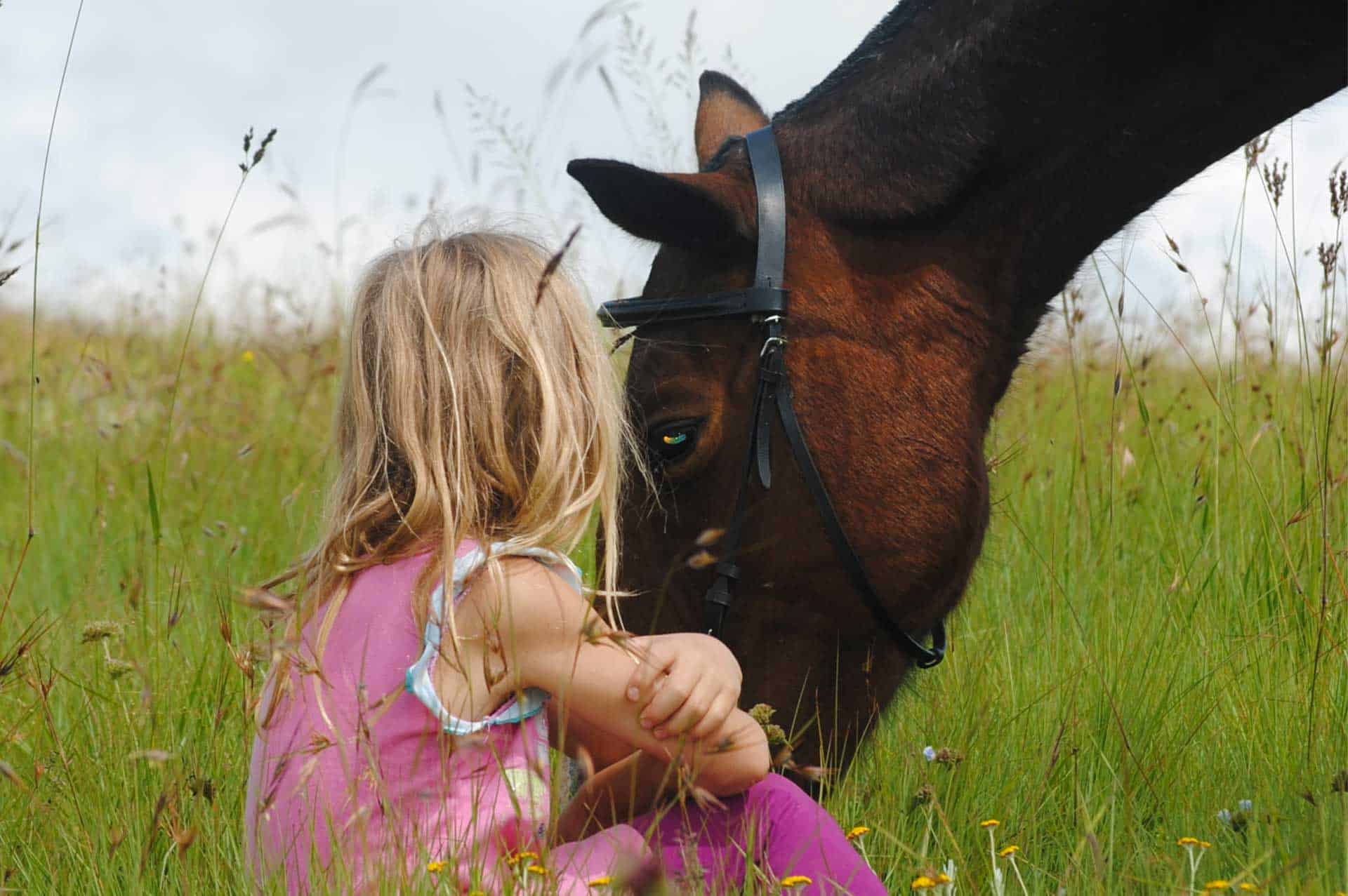 offre equicoaching enfants/ado