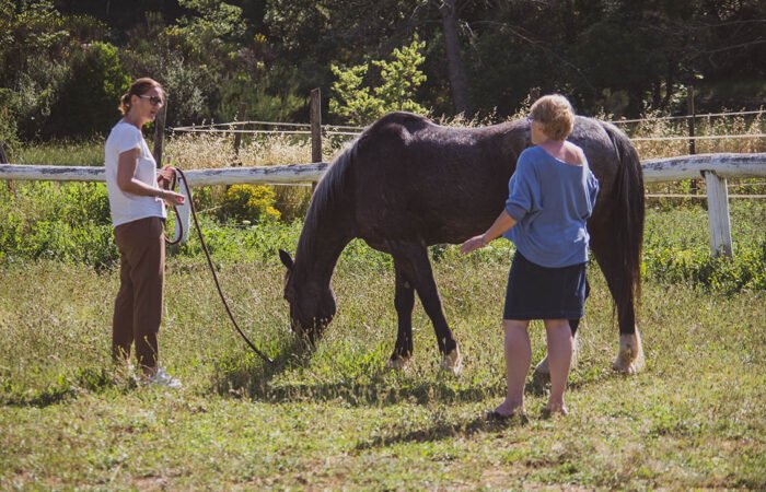 weekend yoga et cheval