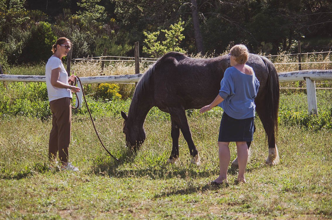 weekend yoga et cheval