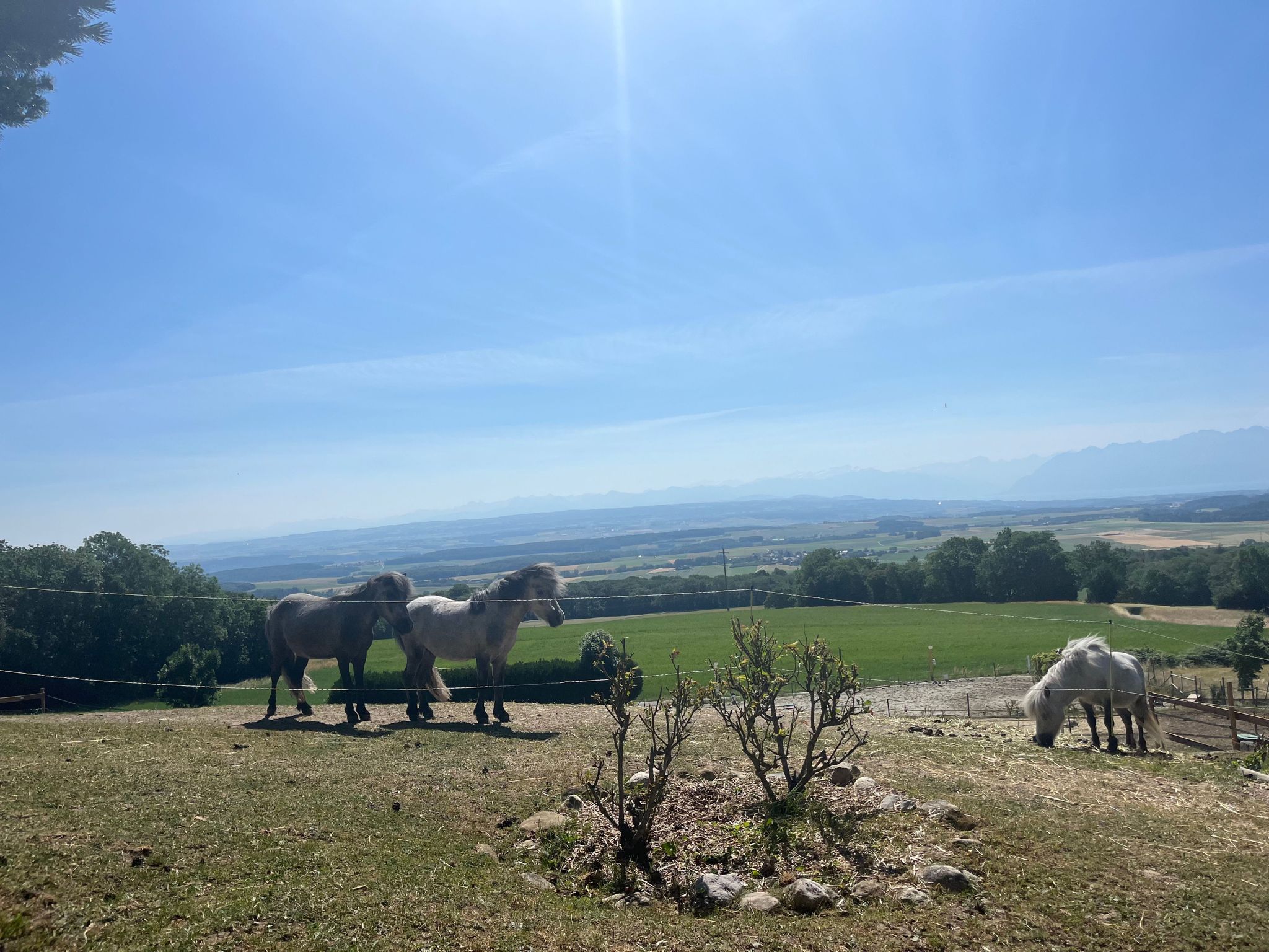 espace et lieux weekend yoga equicoaching & meditation